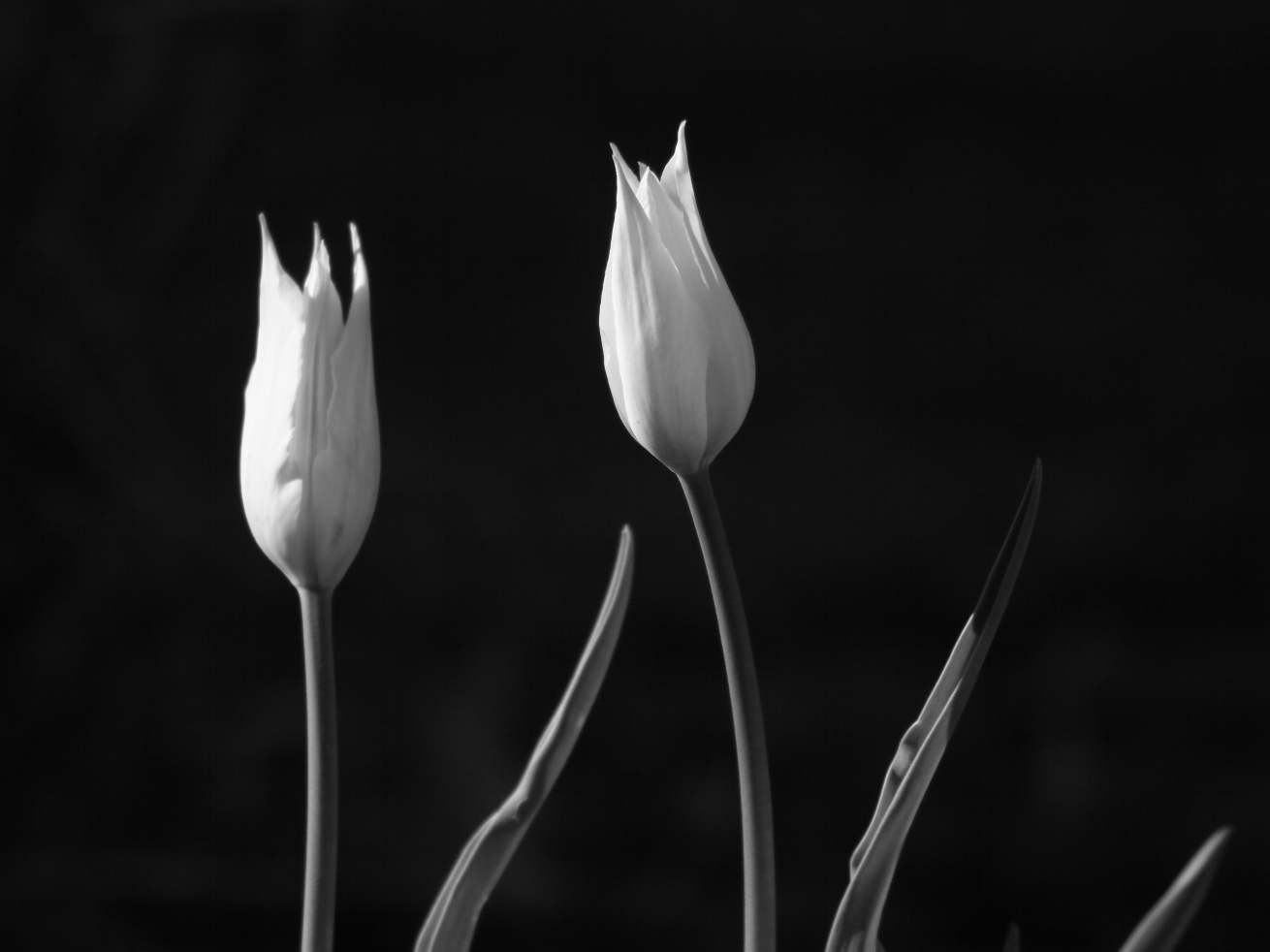 2015 05 02 HTP 000047701ebw